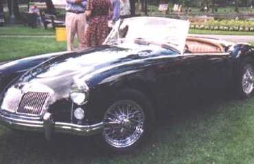 mga61