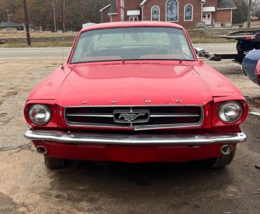 Mustang recherchée